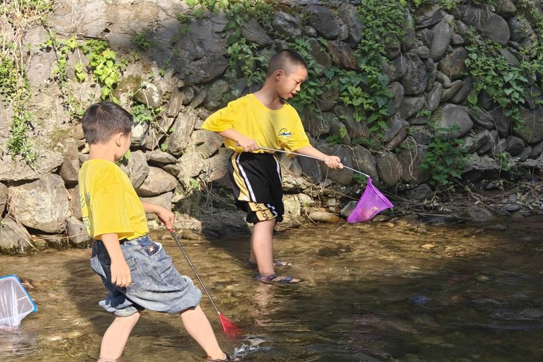 295a15536e8a8c6f19567df1bf7cc13