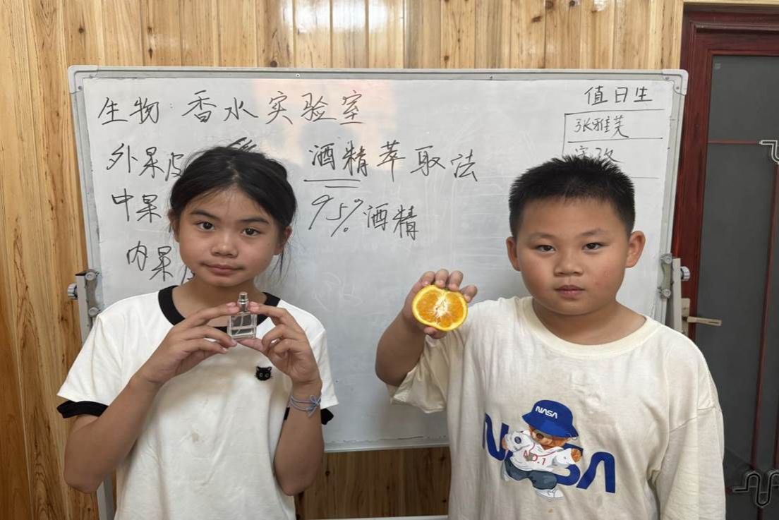 425066c711f3c07046c39b4360605ae